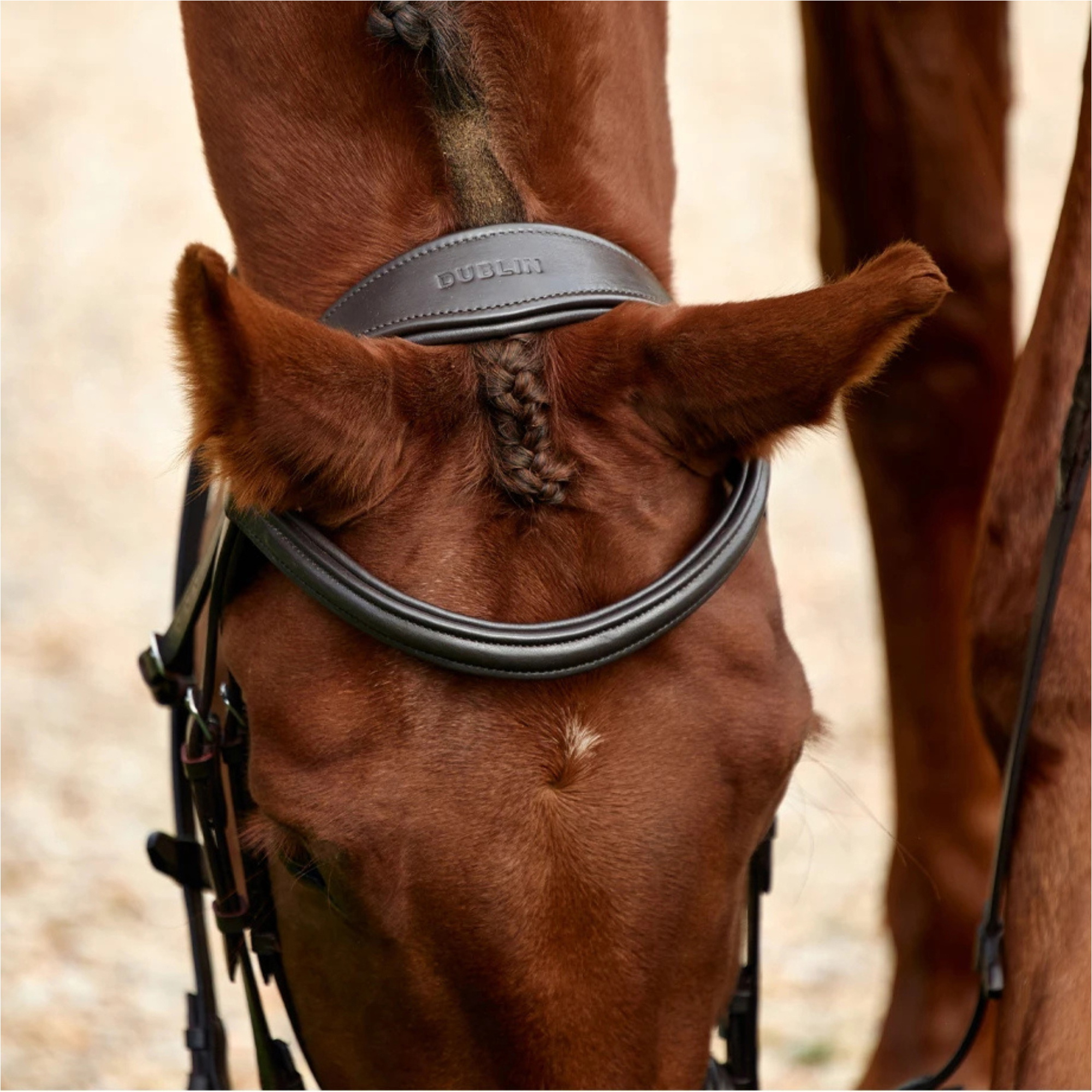 2026 Dublin Gevoerde Mono Kroon Flash Bridle 1031498 - Brown